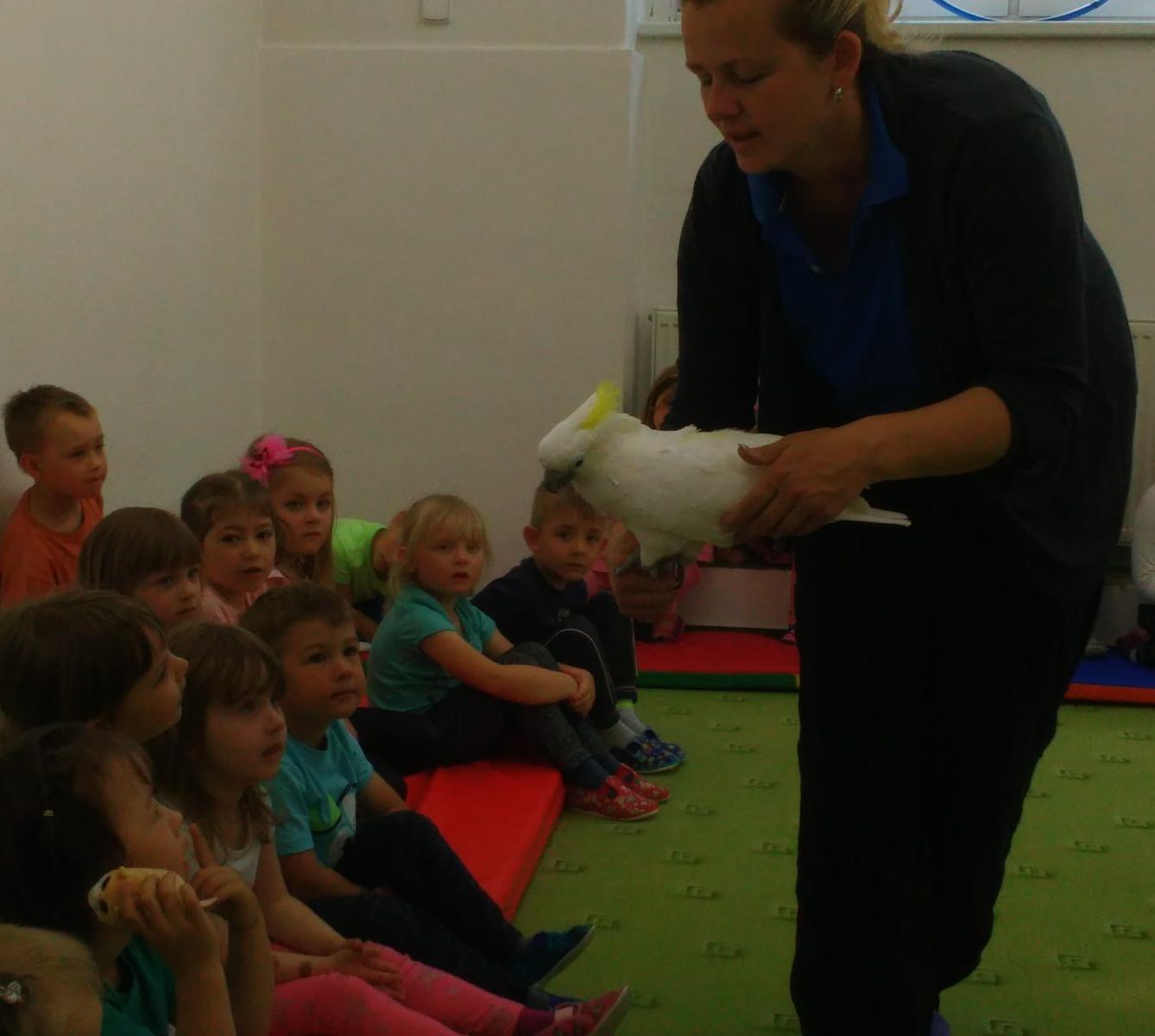 Papoušci ve školce - 15