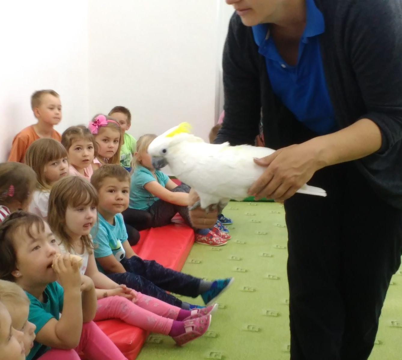 Papoušci ve školce - 16