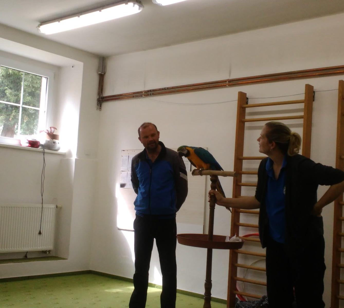 Papoušci ve školce - 39