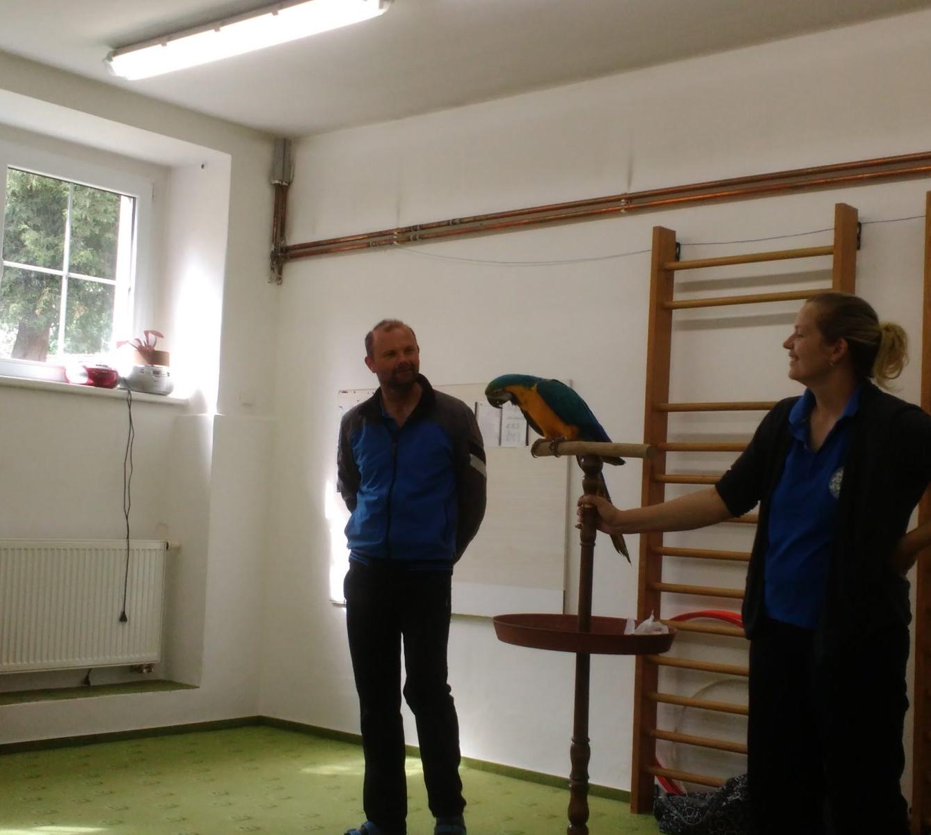 Papoušci ve školce - 40