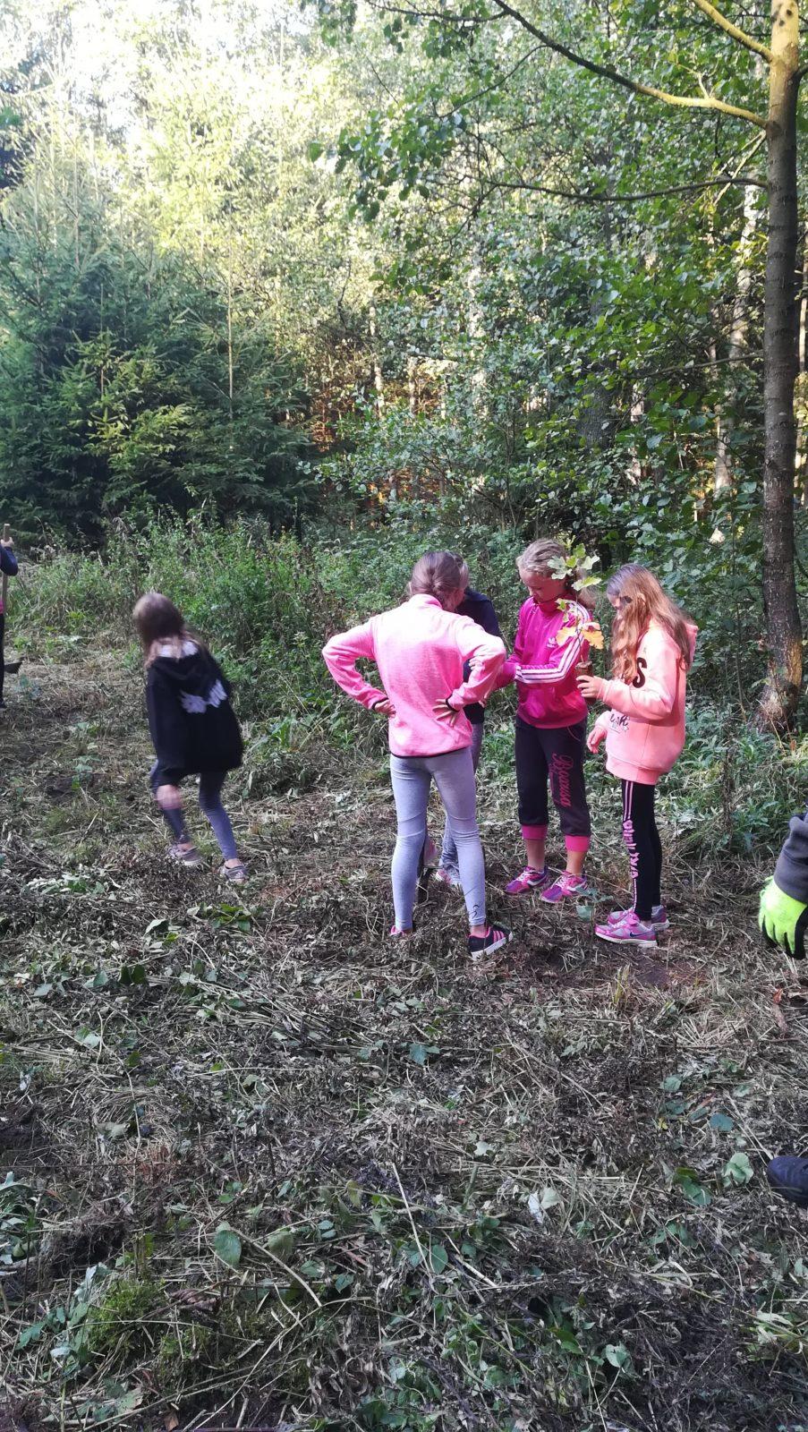 Do lesa s lesníkem - 20