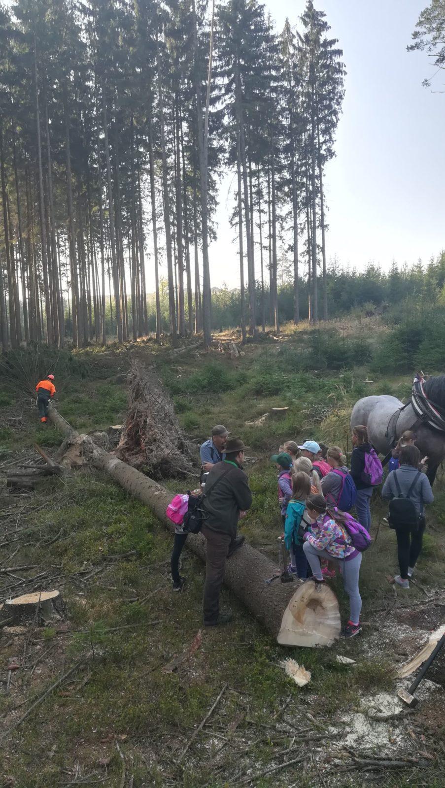 Do lesa s lesníkem - 26