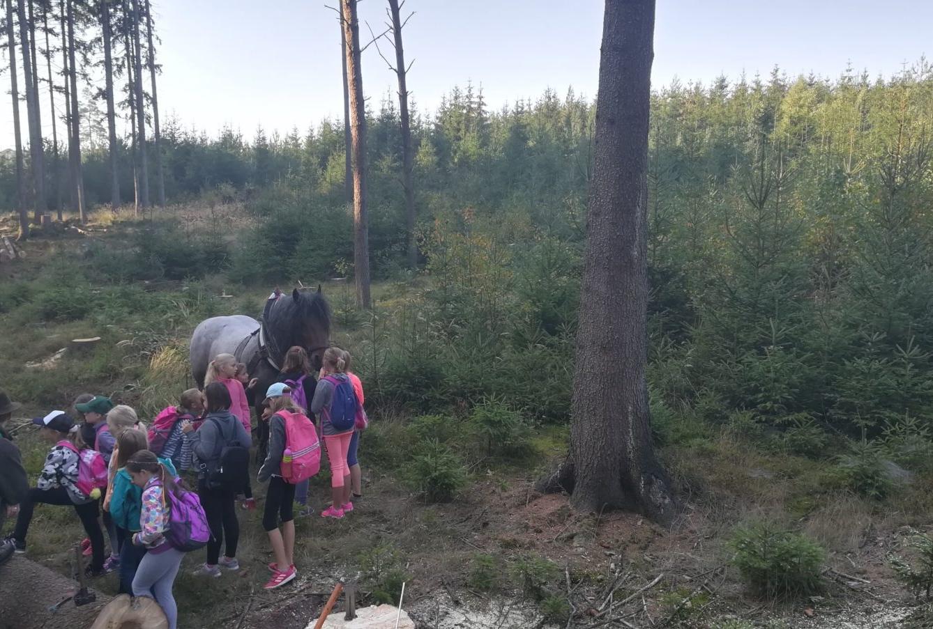 Do lesa s lesníkem - 27