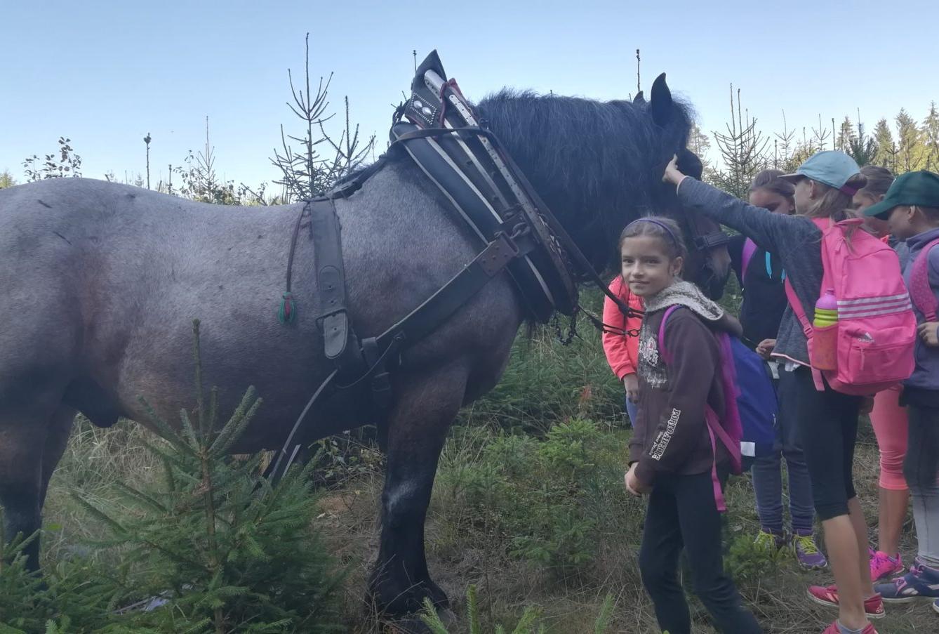 Do lesa s lesníkem - 31