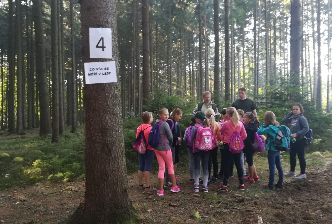 Do lesa s lesníkem - 33