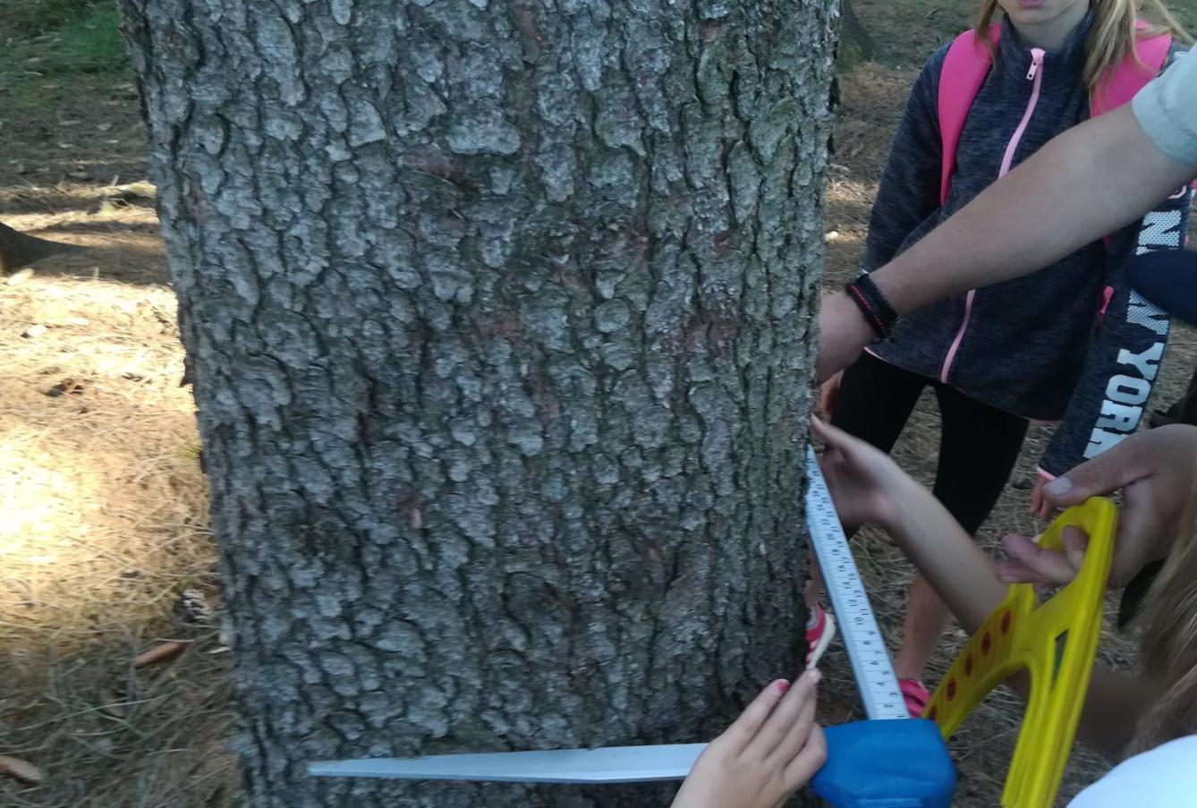 Do lesa s lesníkem - 35