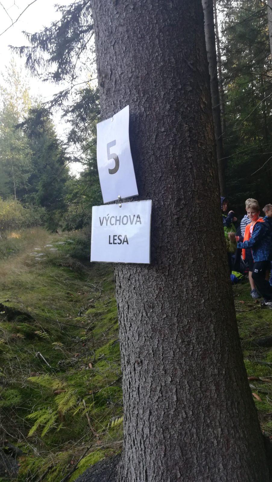 Do lesa s lesníkem - 39