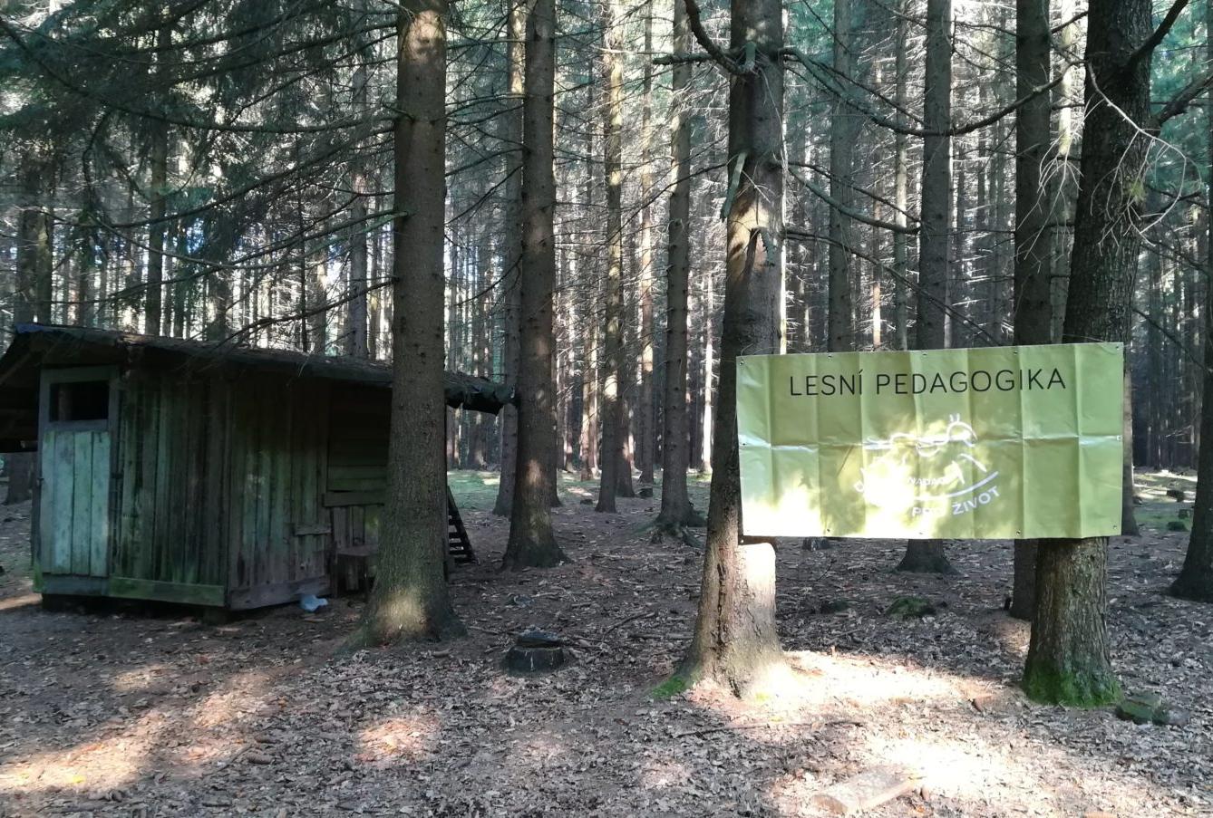 Do lesa s lesníkem - 44