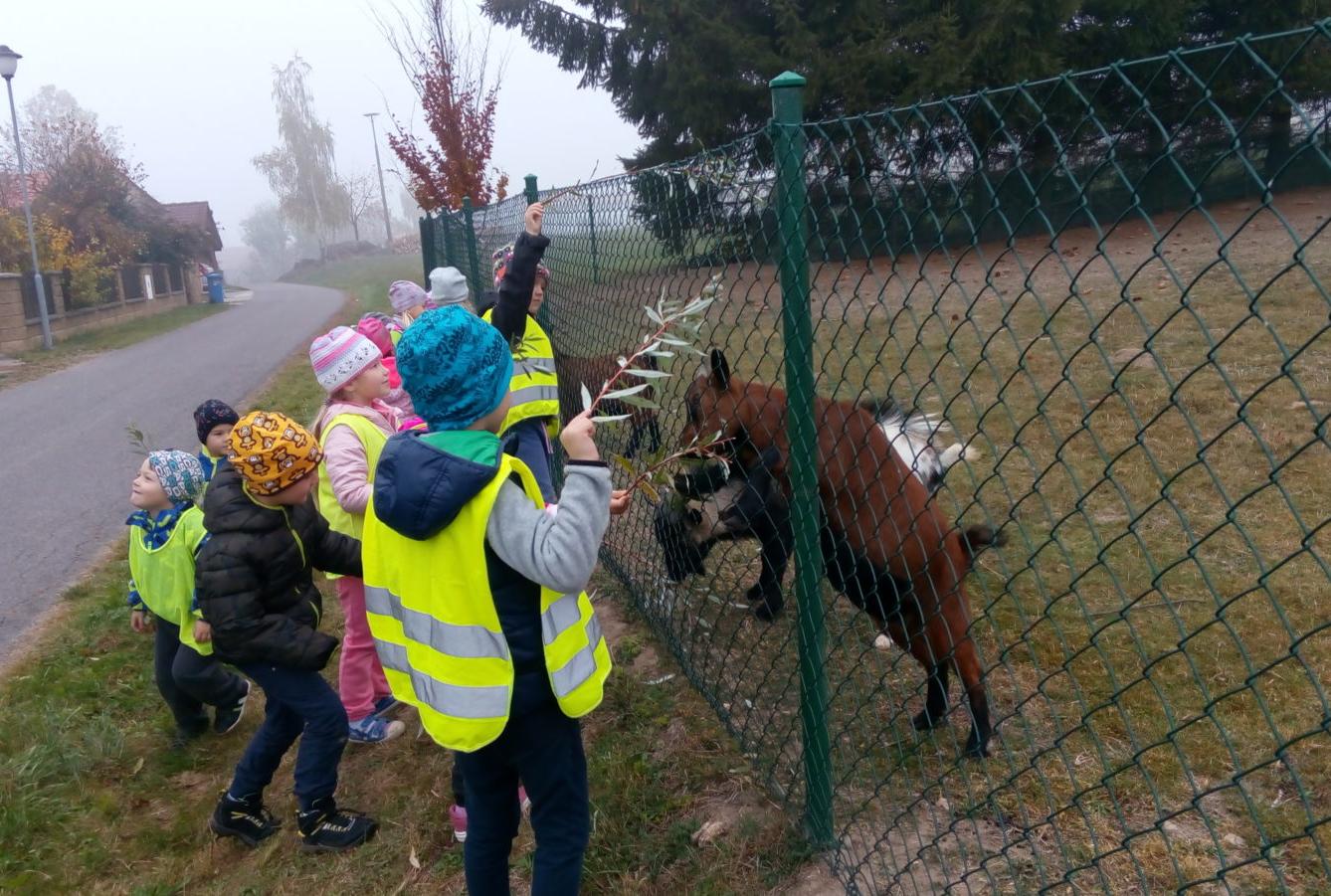 podzim u Klokánků I.- malujeme, tvoříme, hrajeme si - 62