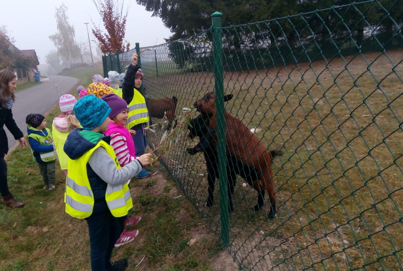 podzim u Klokánků I.- malujeme, tvoříme, hrajeme si - 63
