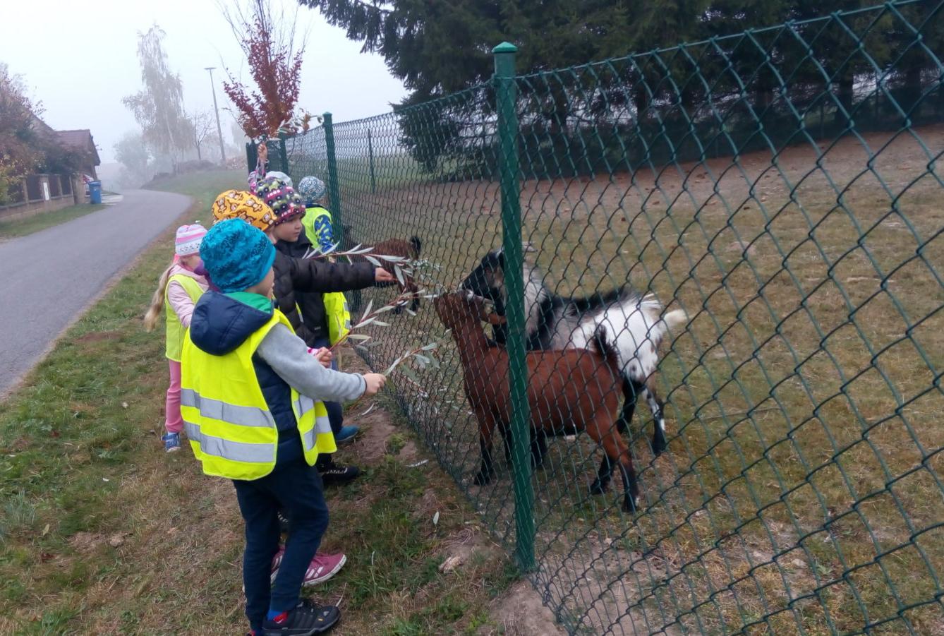 podzim u Klokánků I.- malujeme, tvoříme, hrajeme si - 65