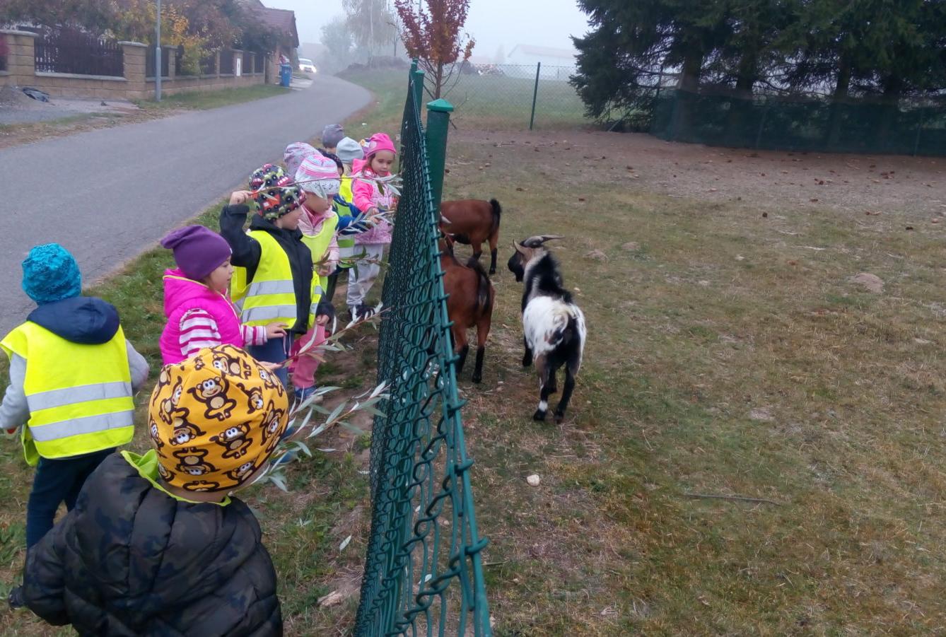 podzim u Klokánků I.- malujeme, tvoříme, hrajeme si - 66