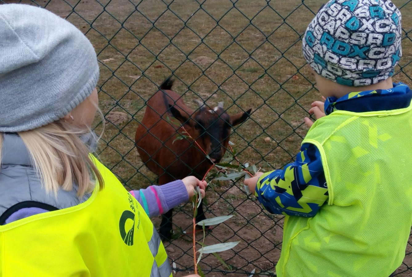 podzim u Klokánků I.- malujeme, tvoříme, hrajeme si - 68
