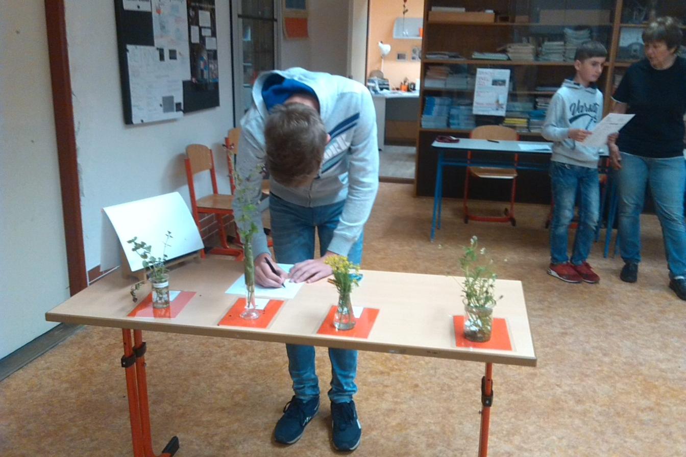 Poznávání přírodnin a minerálů - II. stupeň