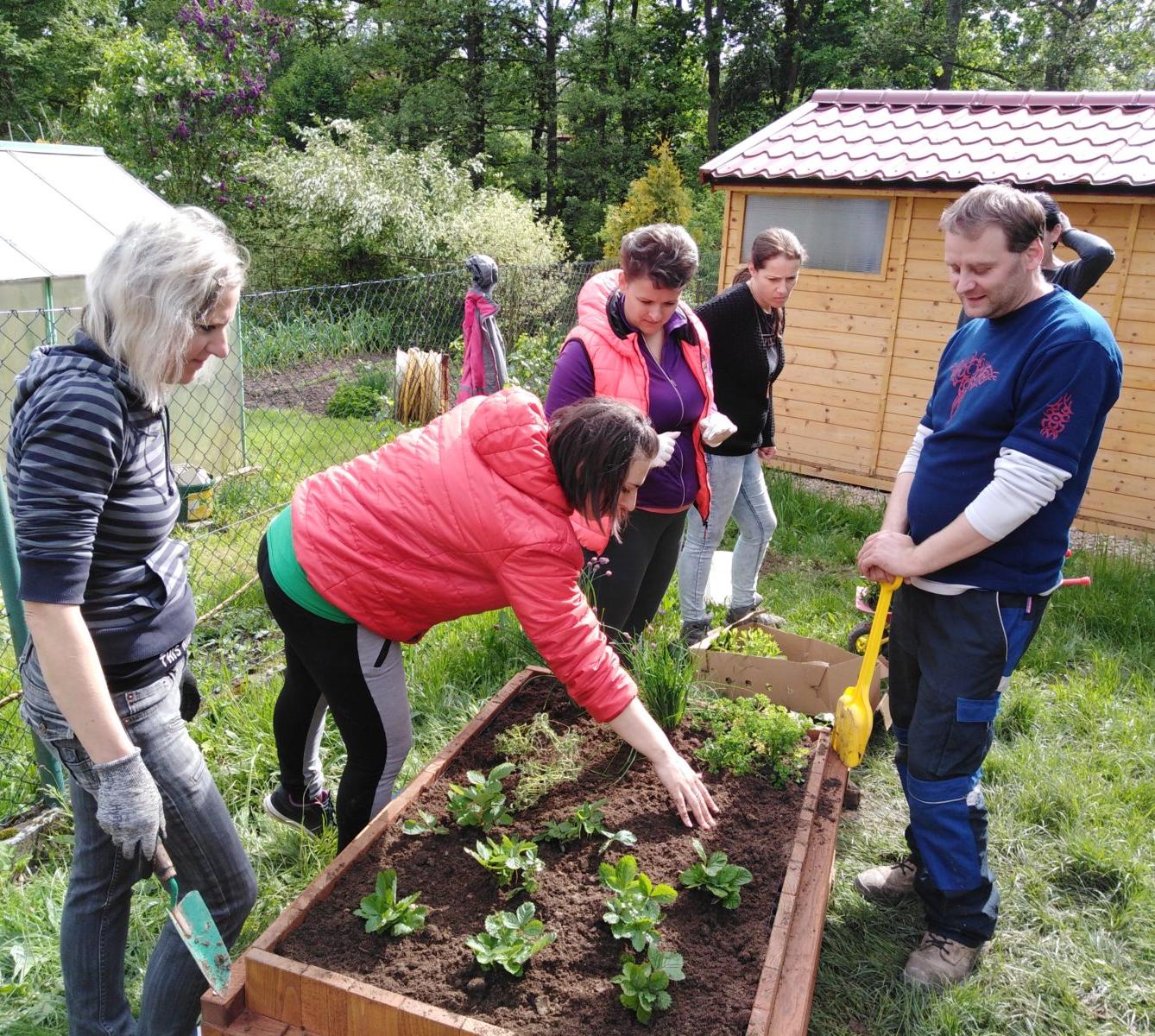 workshop zahrada:-) - 37