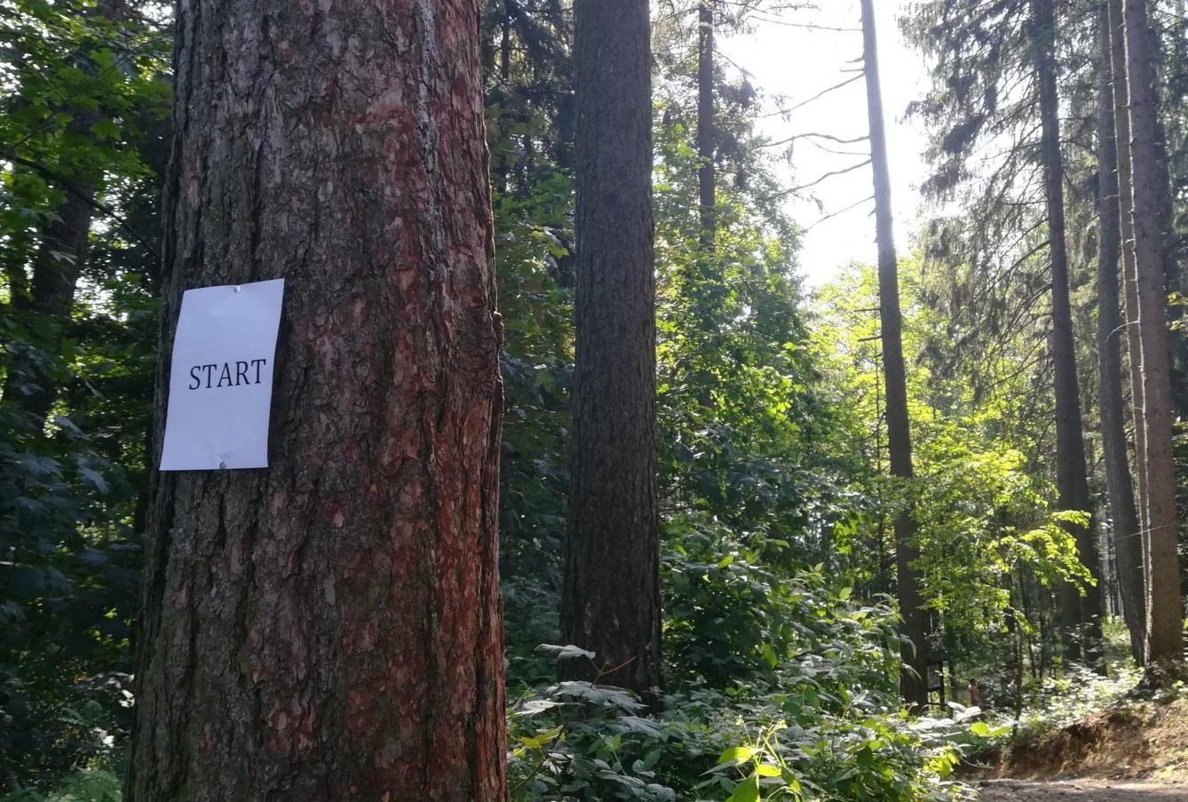 Pohádkový les - 18