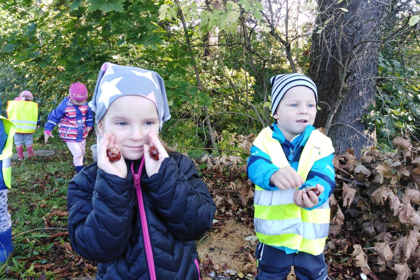 Broučci: "sbíráme kaštánky"