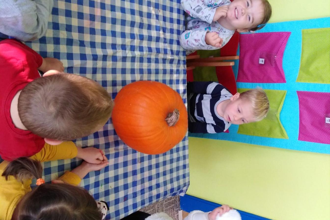 Broučci: "Dýňohrátky"