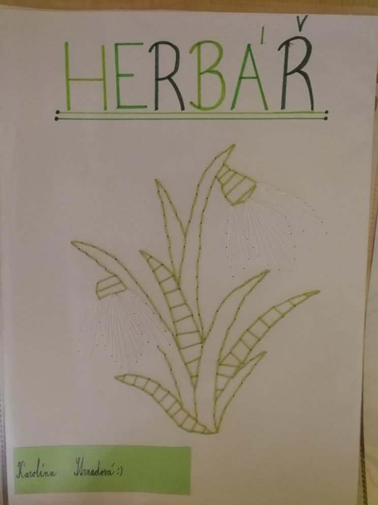 Herbáře - II. stupeň - 1