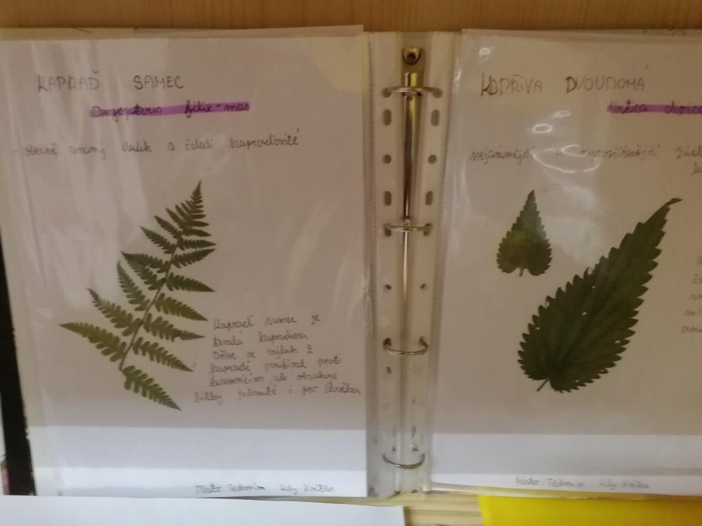 Herbáře - II. stupeň - 4