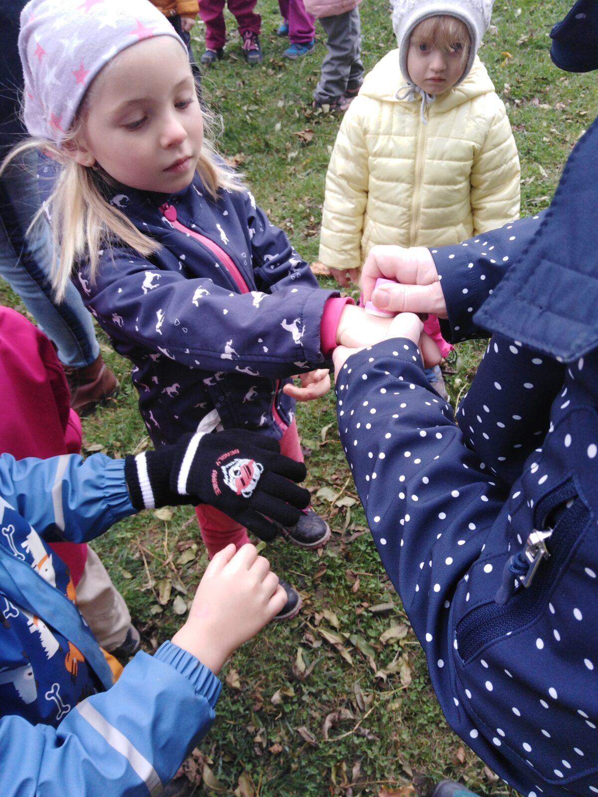 Bramboriáda v MŠ :-) - 61