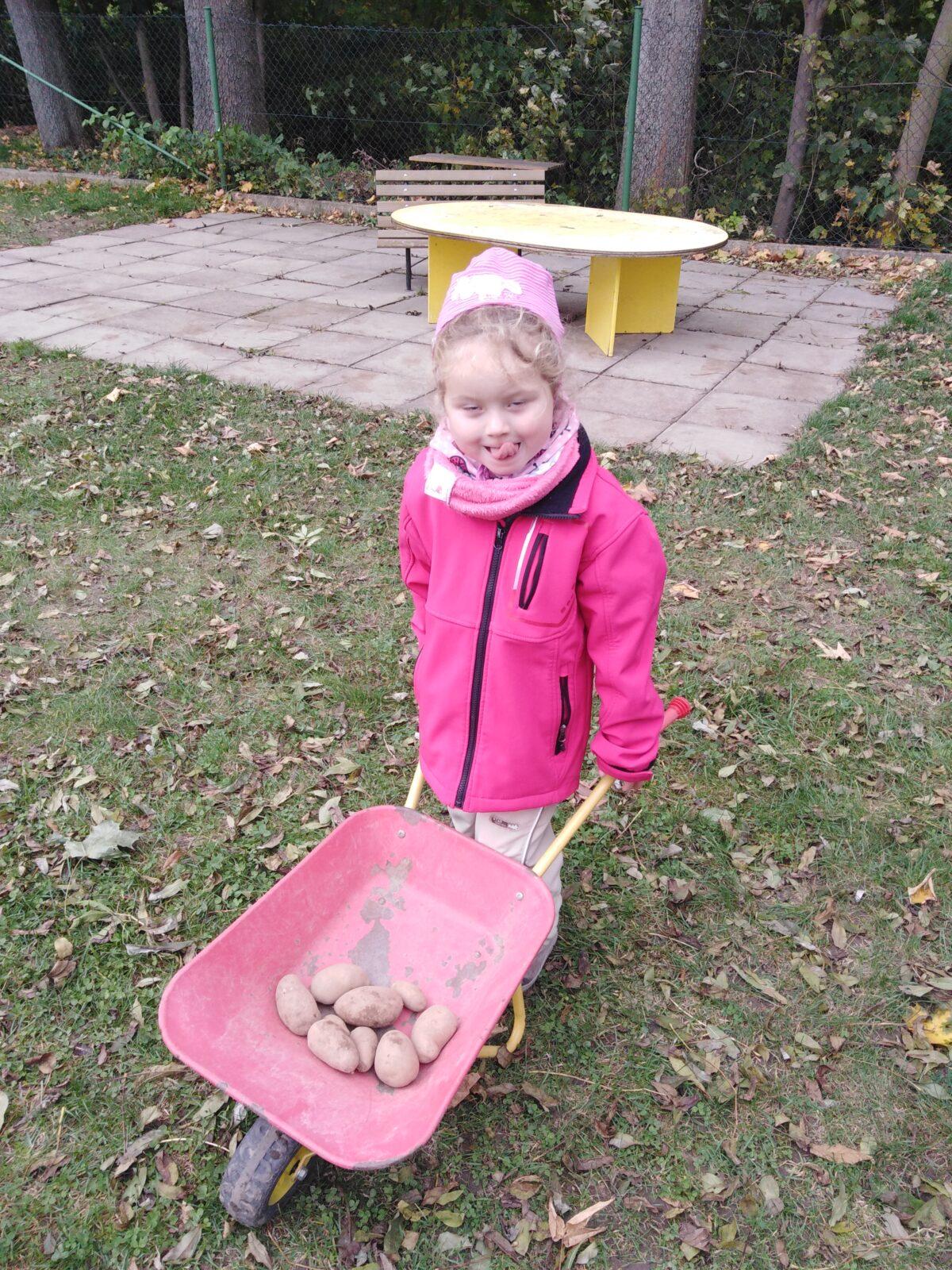 Bramboriáda v MŠ :-) - 102