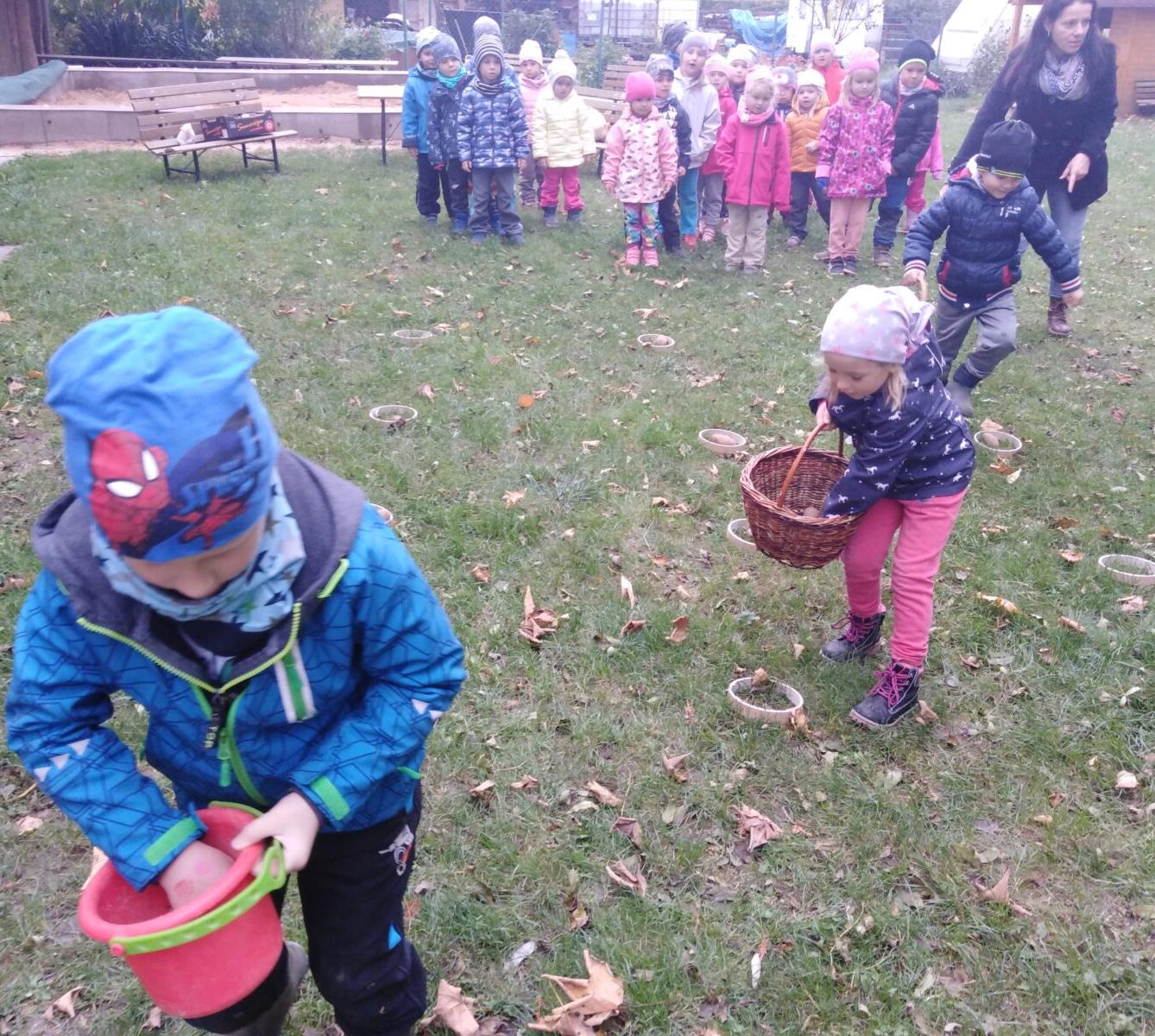 Bramboriáda v MŠ :-) - 124