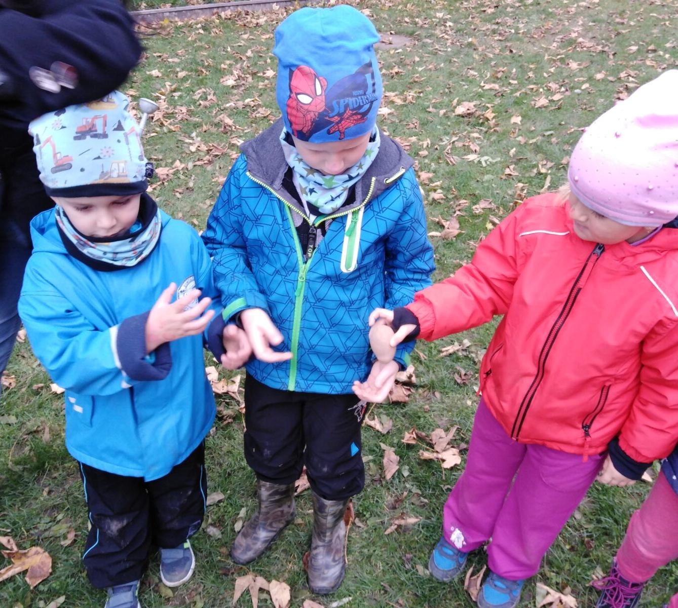 Bramboriáda v MŠ :-) - 172