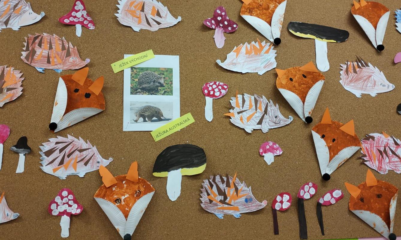 Australská pohádka - 52