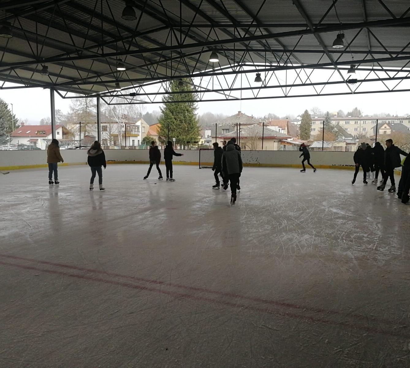 Osmáci a deváťáci na ledě - 31.1. - 2