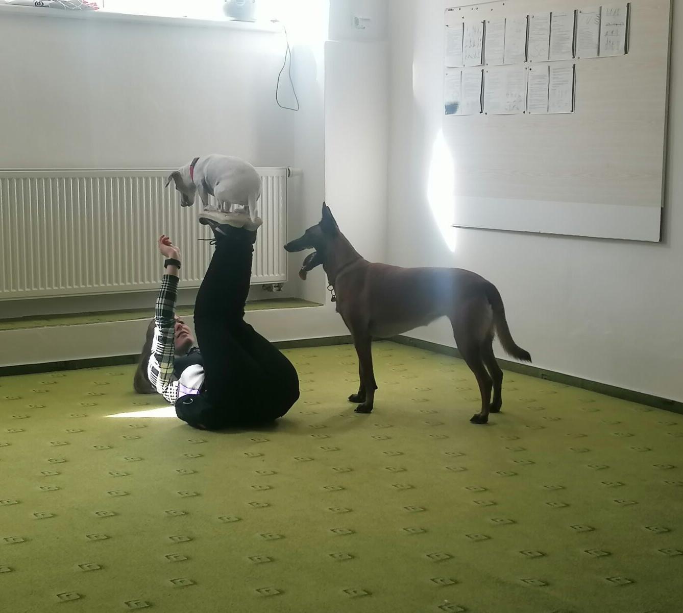 Projektový den v MŠ: "AGILITY" :-) - 1