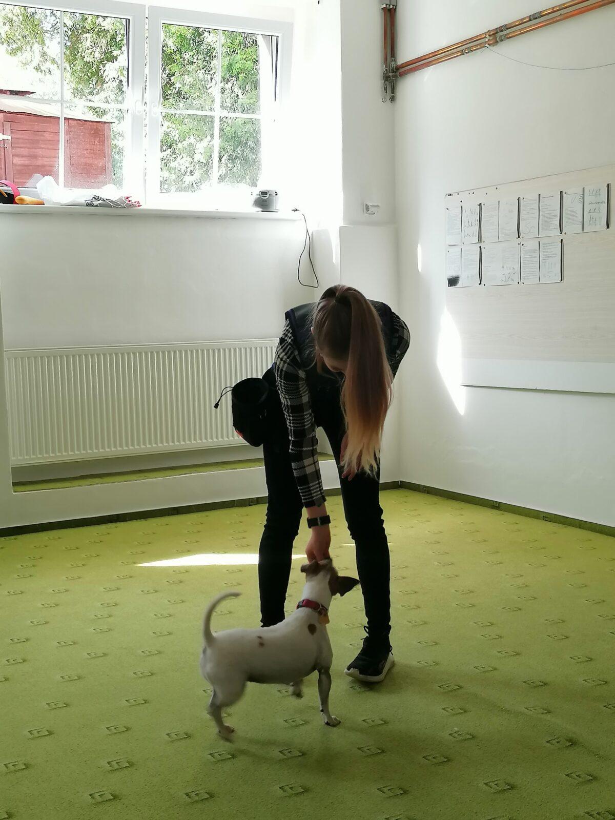 Projektový den v MŠ: "AGILITY" :-) - 6