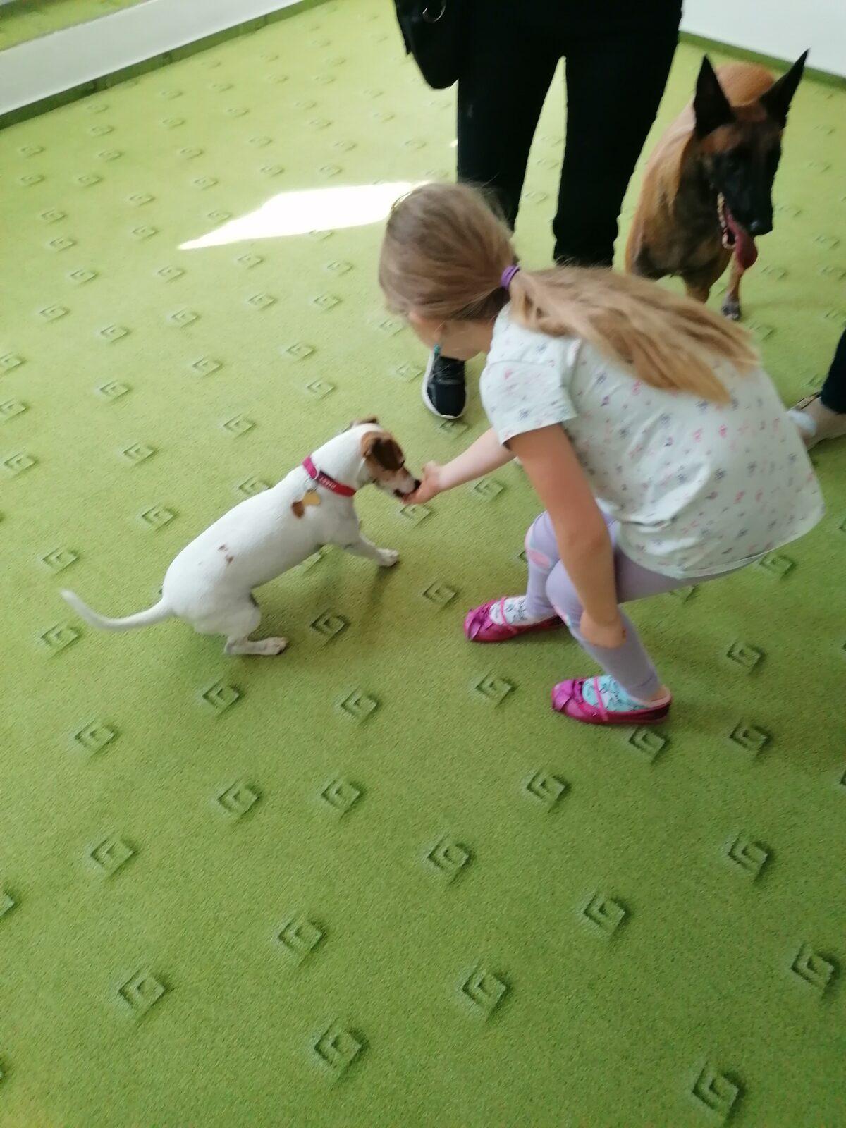 Projektový den v MŠ: "AGILITY" :-) - 9