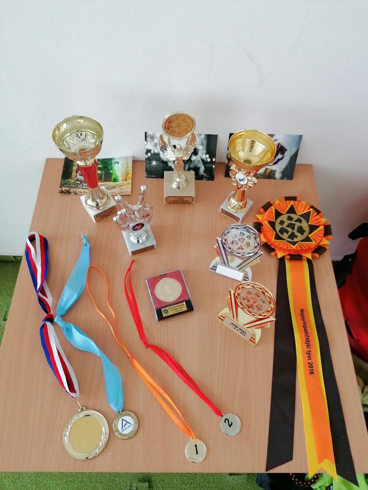 Projektový den v MŠ: "AGILITY" :-) - 26