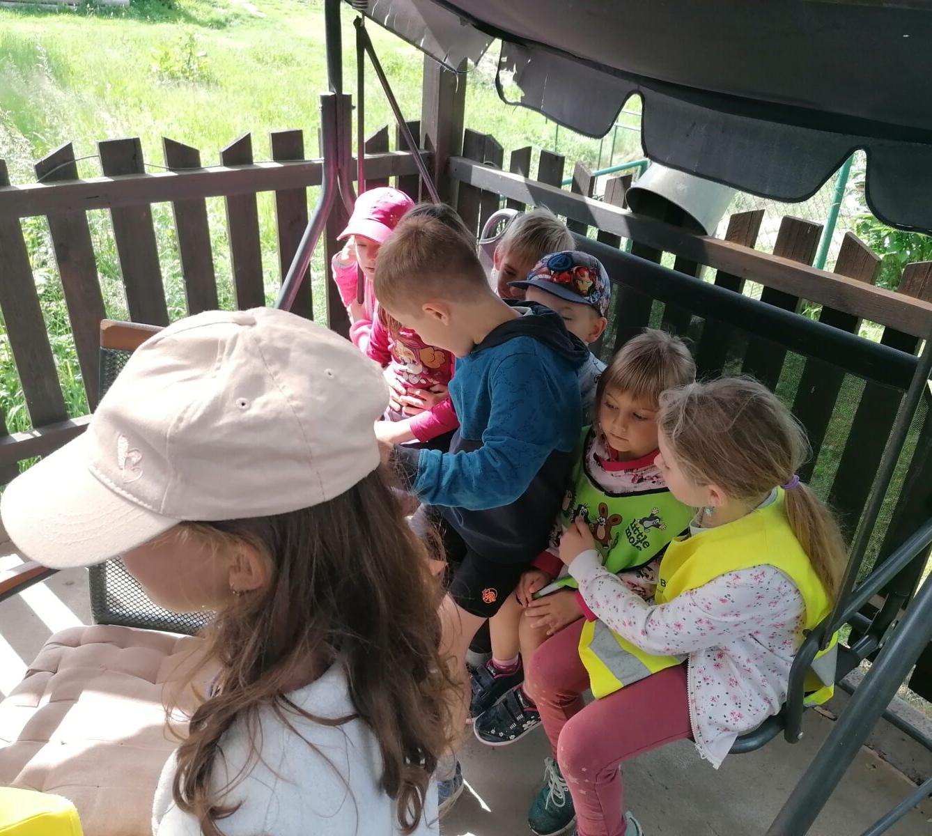 Projektový den v MŠ: "AGILITY" :-) - 28