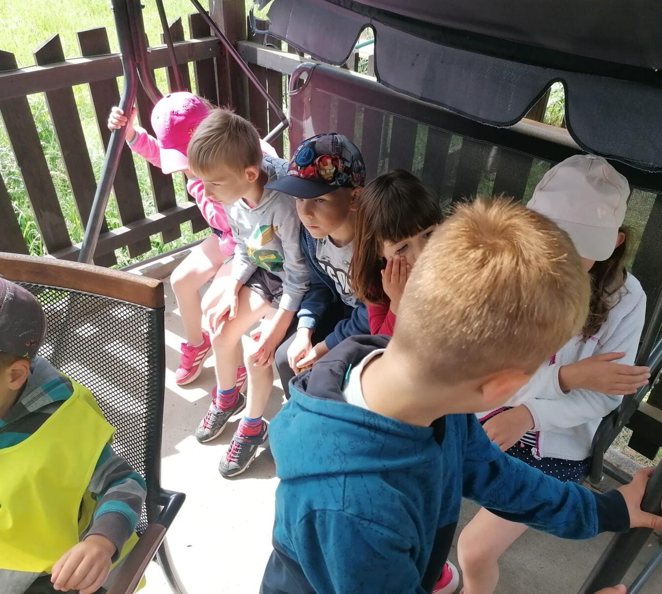 Projektový den v MŠ: "AGILITY" :-) - 30