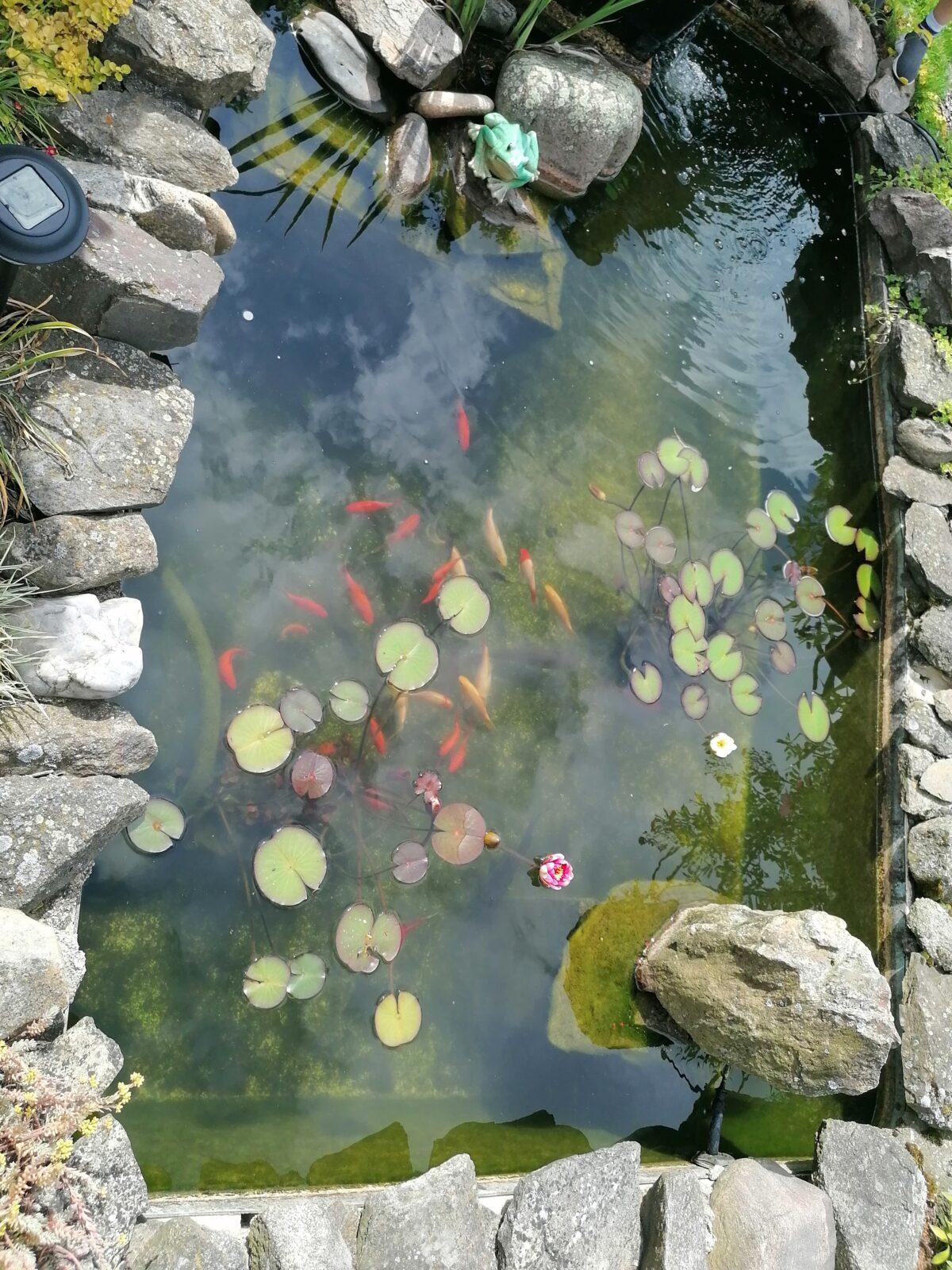 Projektový den v MŠ: "AGILITY" :-) - 32