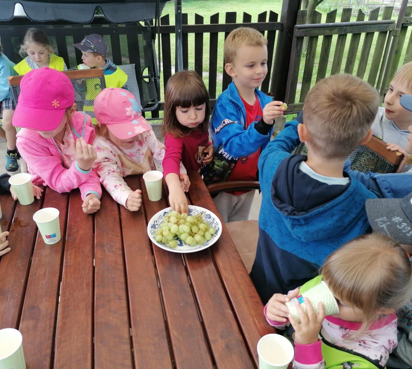 Projektový den v MŠ: "AGILITY" :-) - 39