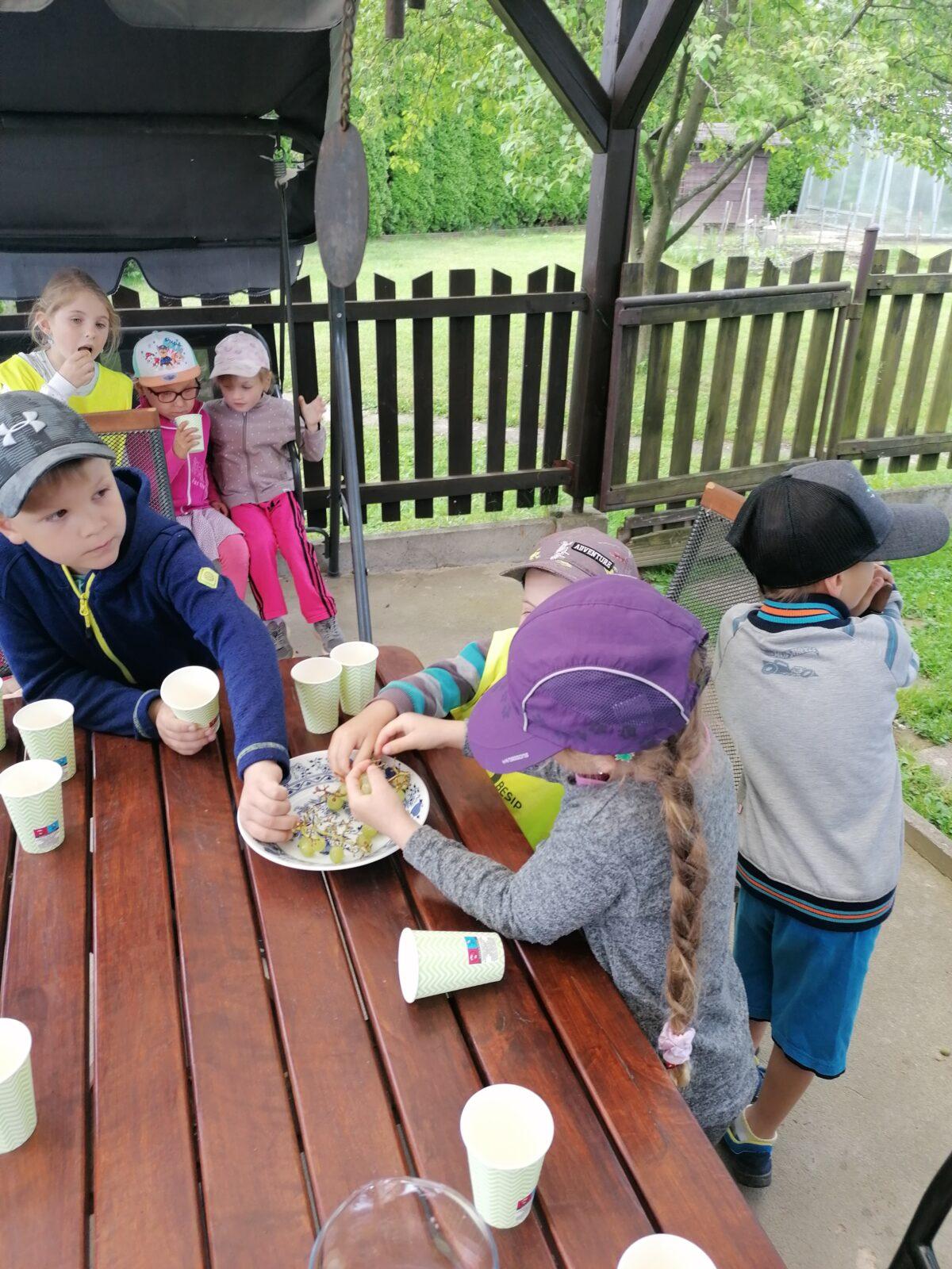 Projektový den v MŠ: "AGILITY" :-) - 40