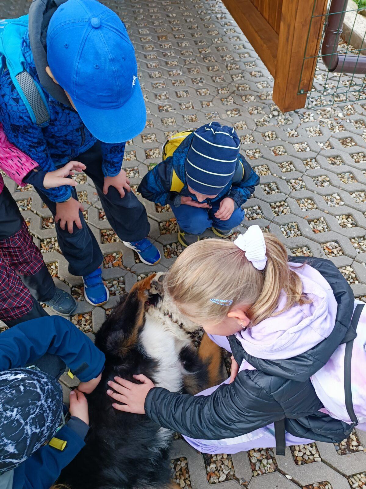 TLAPKY 2 - 1. výprava - 23