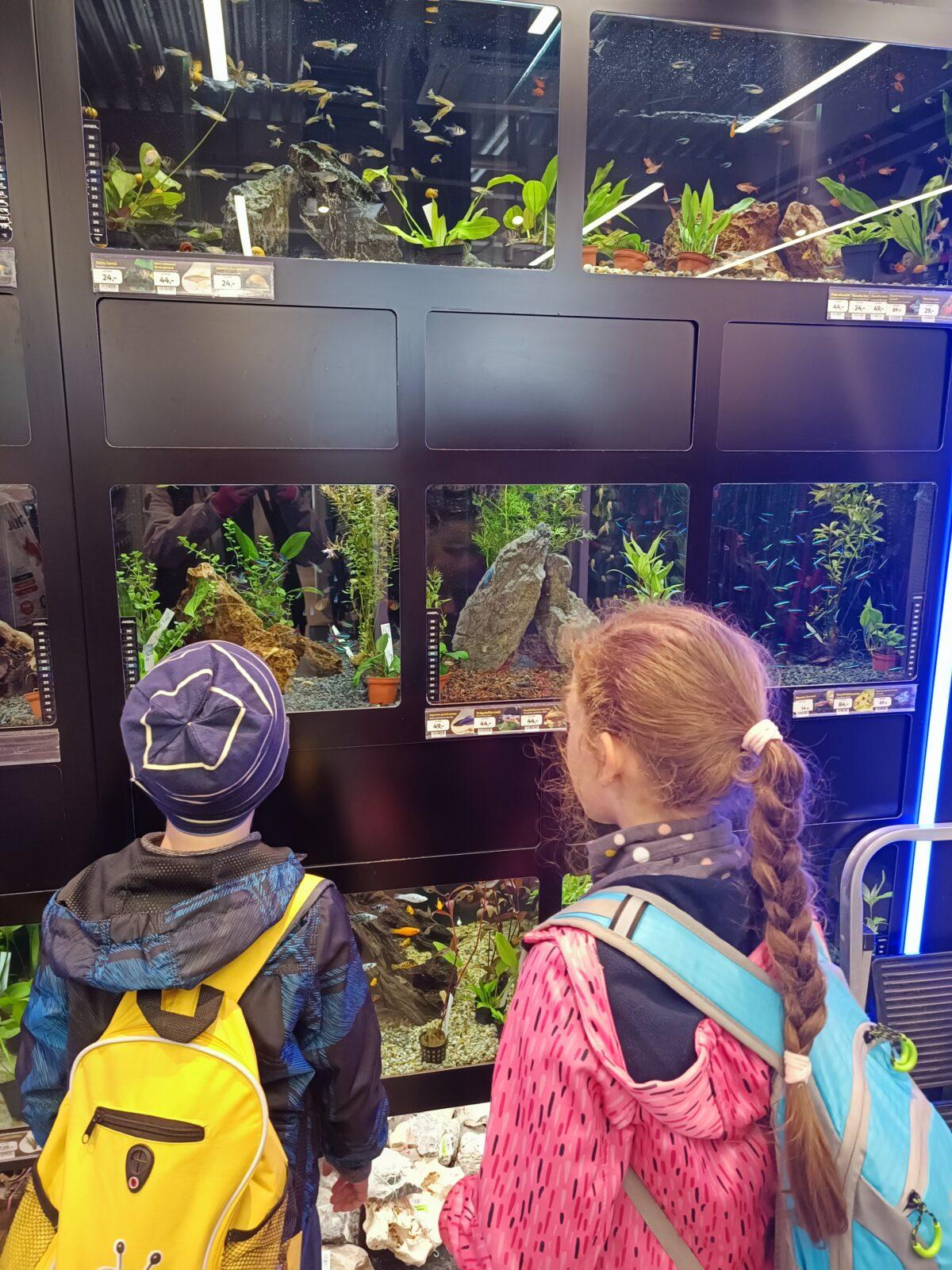 TLAPKY 2 - 1. výprava - 64