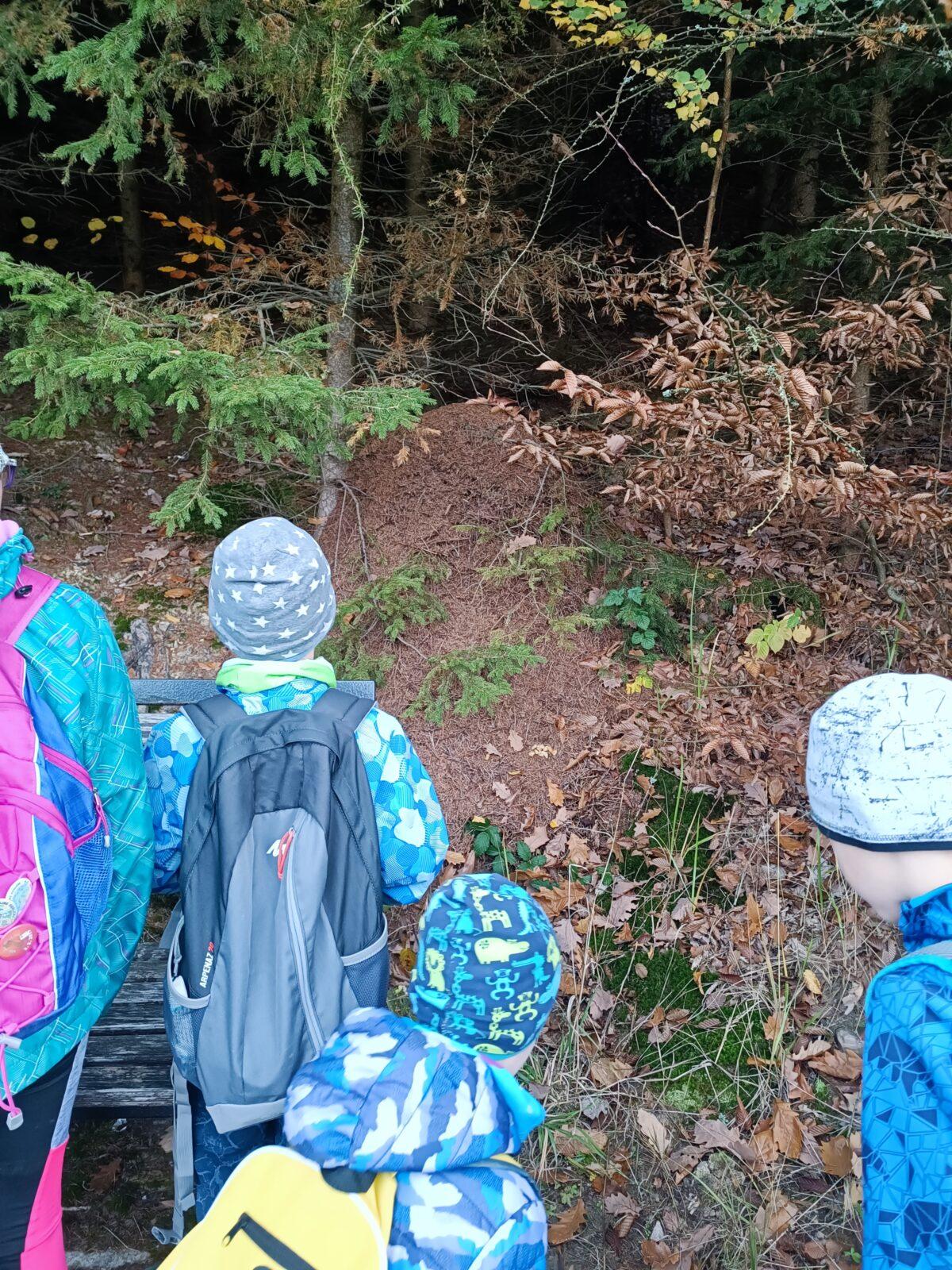 TLAPKY - říjen - 3