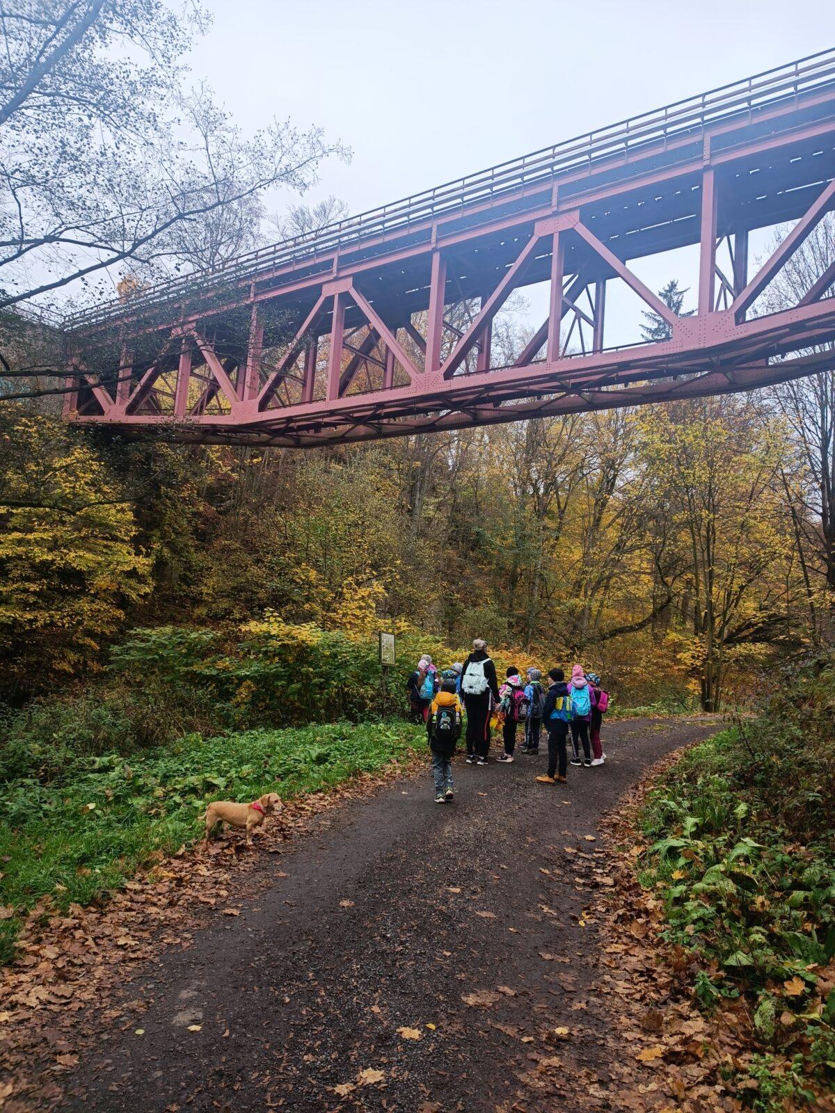 TLAPKY - říjen - 13