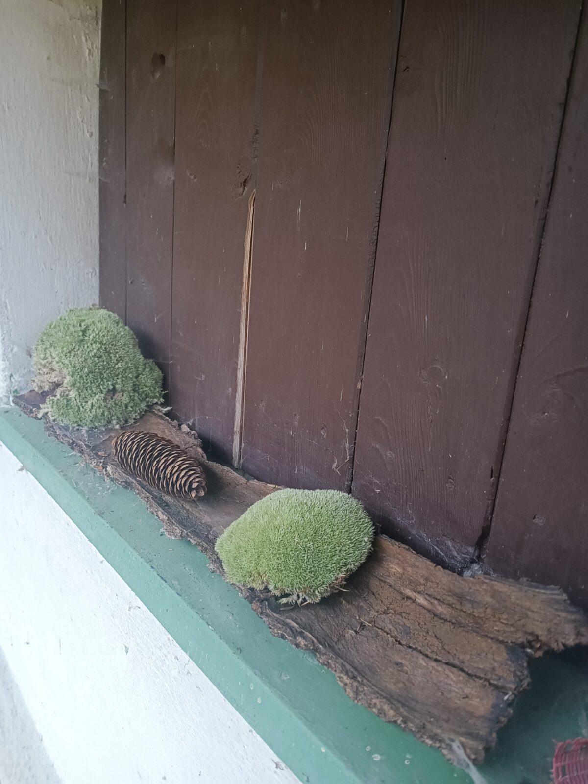 TLAPKY - říjen - 24