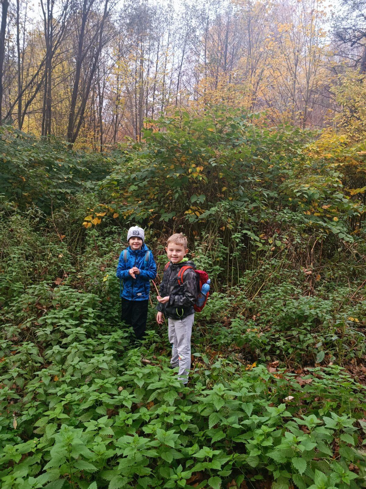 TLAPKY - říjen - 47