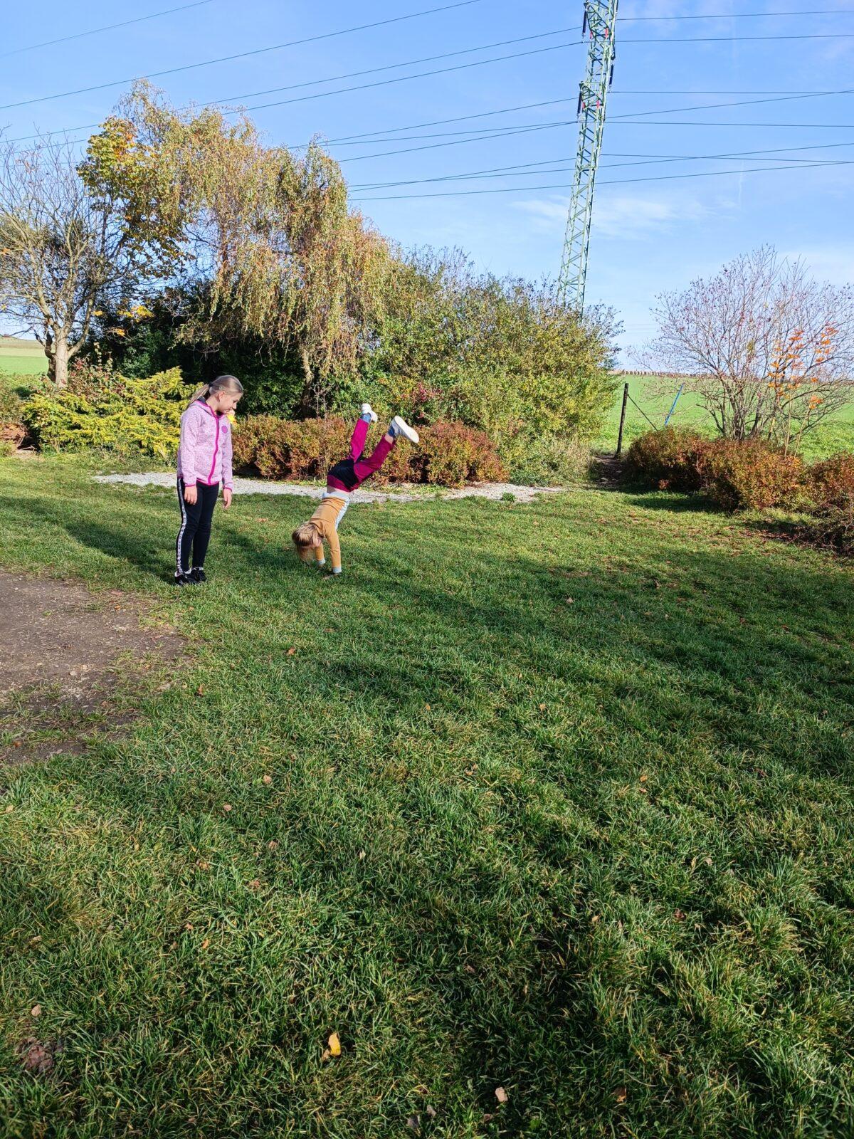 TLAPKY - říjen - 81