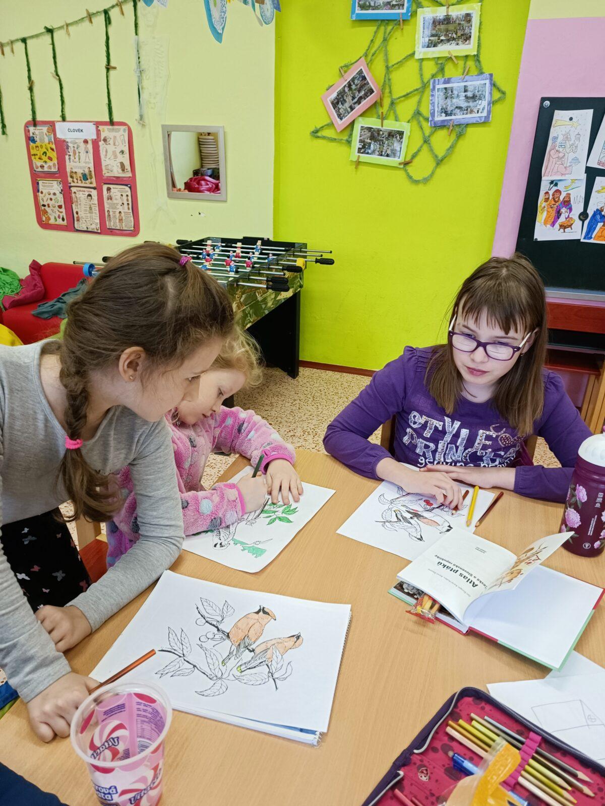 TLAPKY - výprava LEDEN - 29