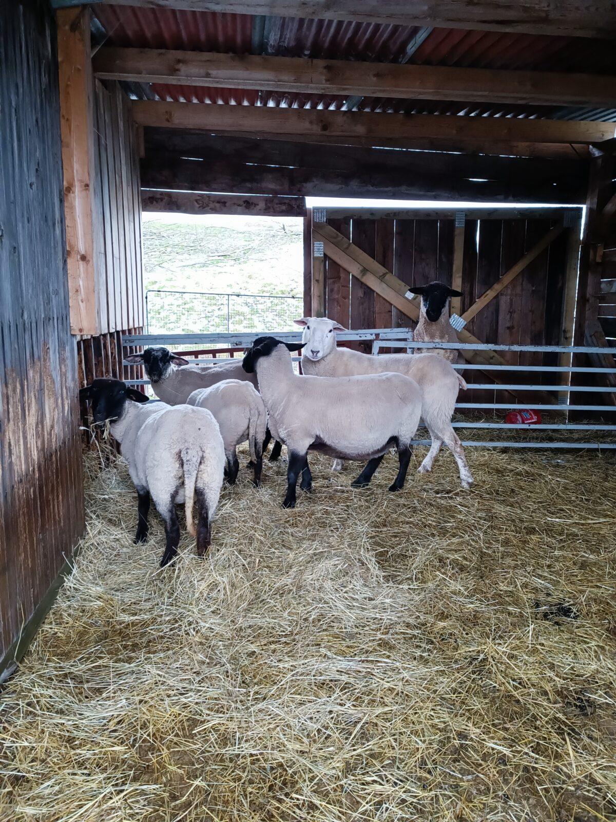 TLAPKY - výprava LEDEN - 48