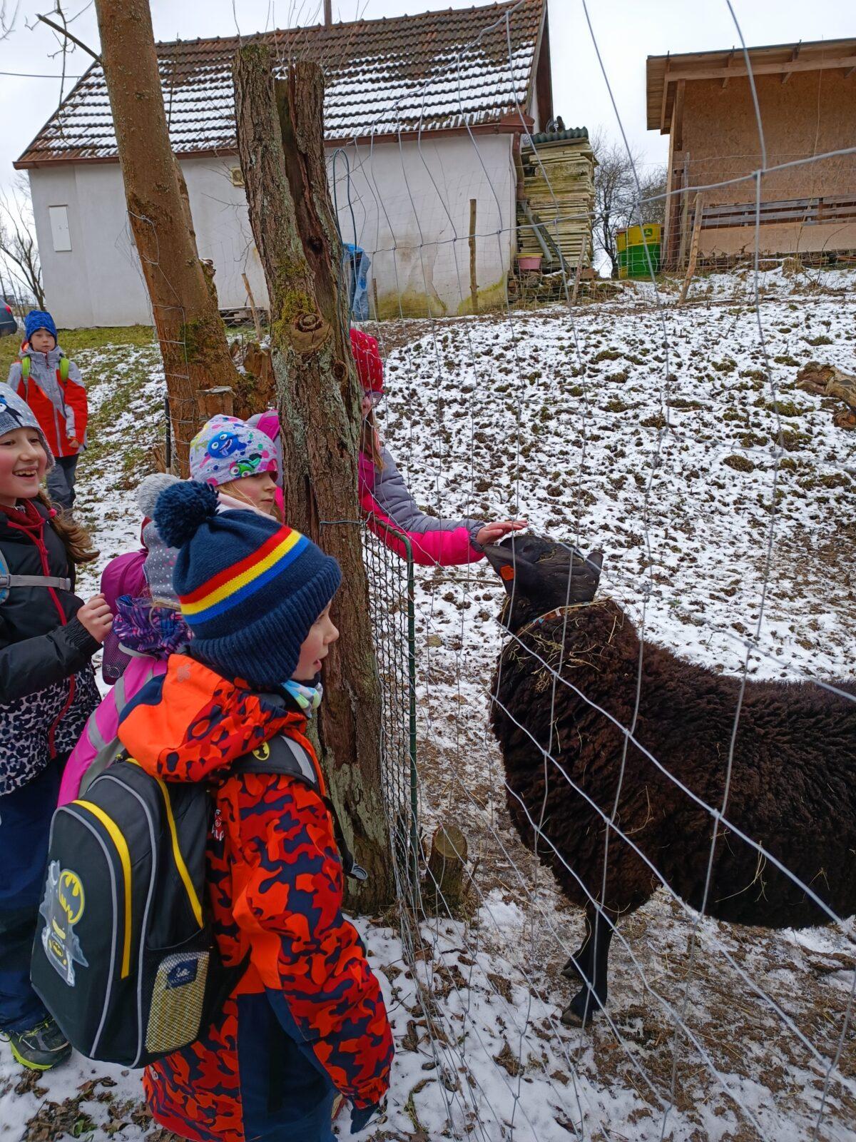 TLAPKY - výprava LEDEN - 64