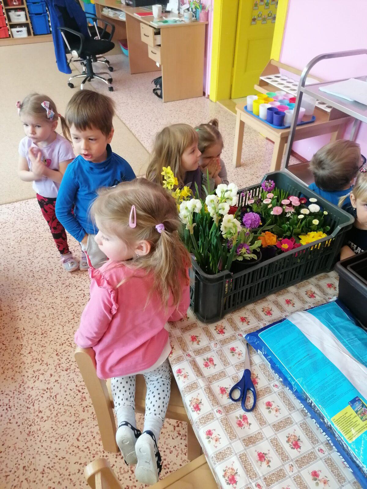 "Sázíme kytičky a děláme pokusy" - 17